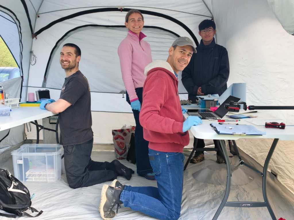 Moth Virome team field work test run