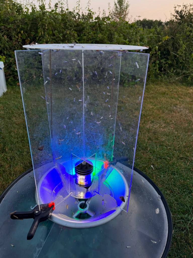 Moth trap at dusk