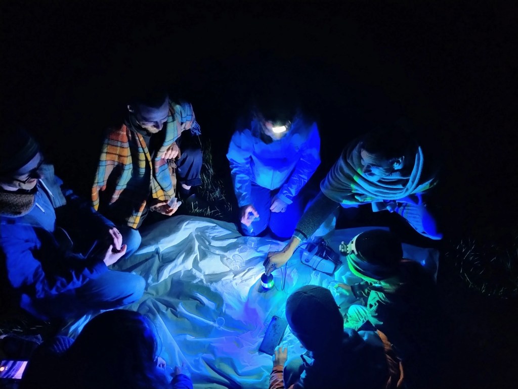 Moth trapping at Potager Garden with Cocoon Residents