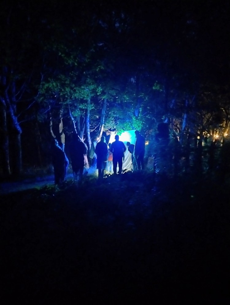 Moth trapping as part of Cocoon outreach project